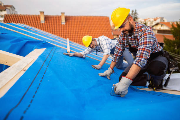 Best Roof Coating and Sealing  in Hudsonville, MI